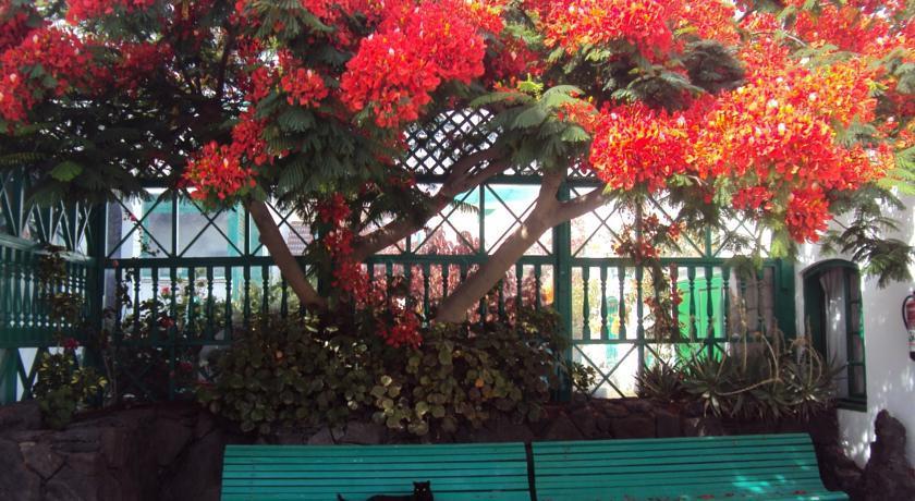 Apartamentos Celeste Costa Teguise Dış mekan fotoğraf